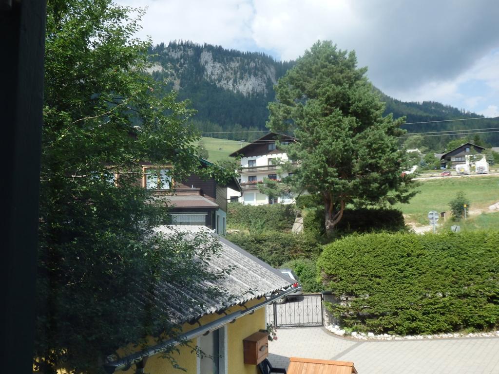 Apartment Haus Steinbock *